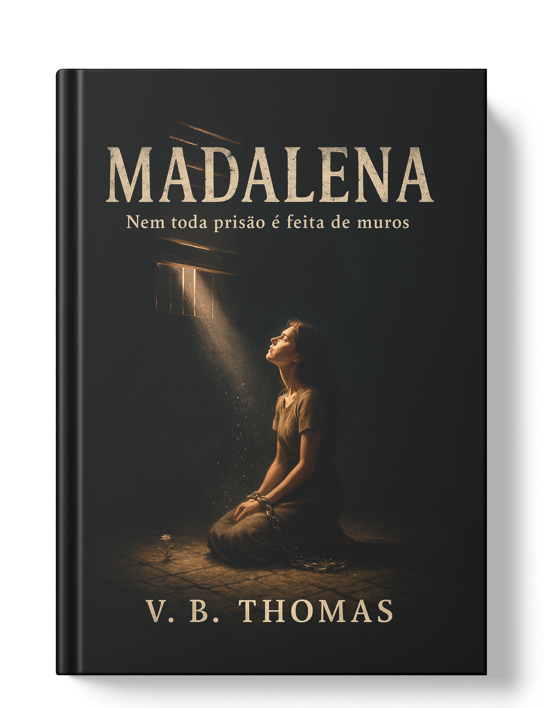 Livro literatura cristã MADALENA história de opressão e libertação, romance cristão Livro literatura cristã MADALENA história de opressão e libertação, romance cristão